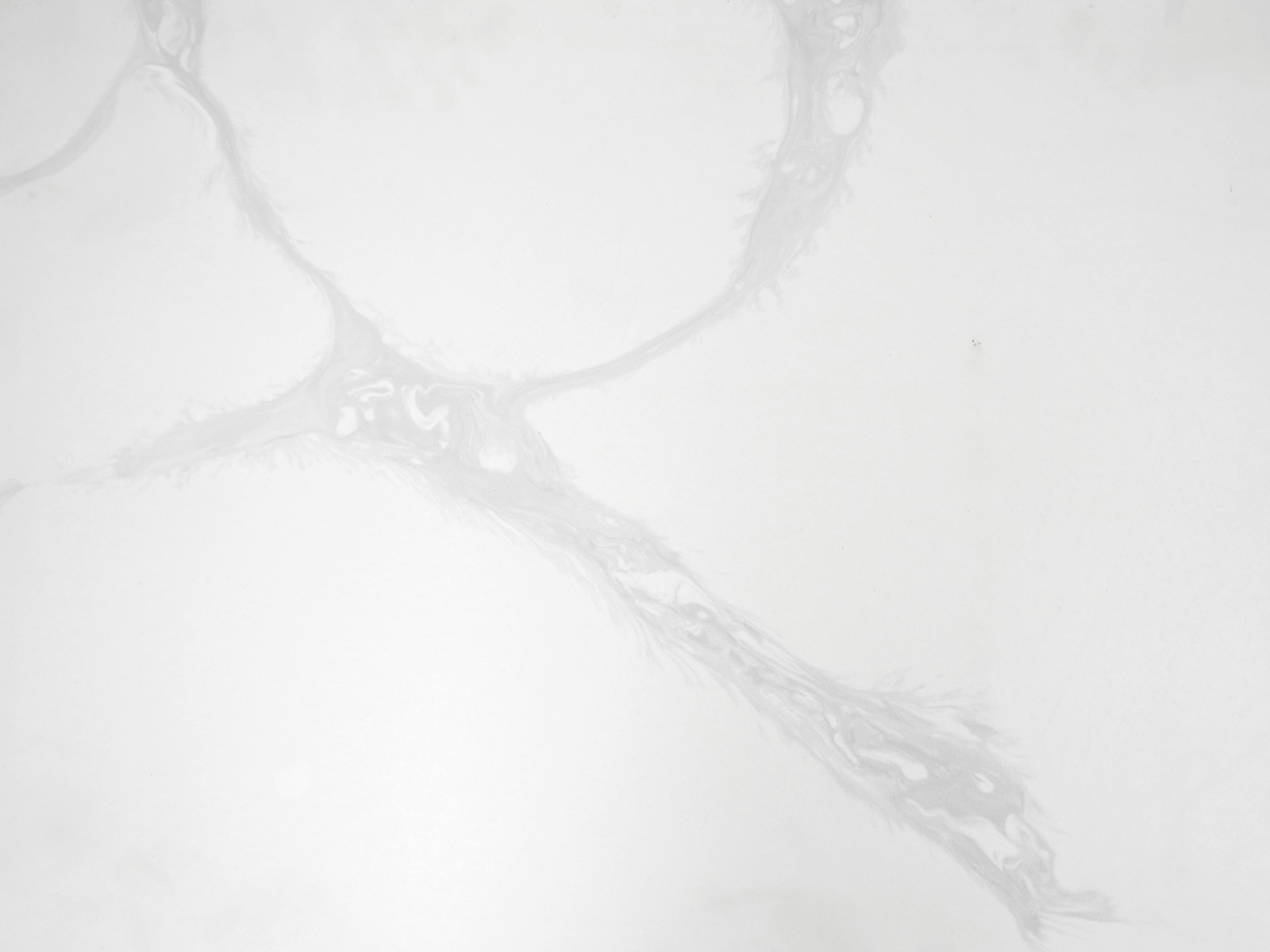 Mist kitchen