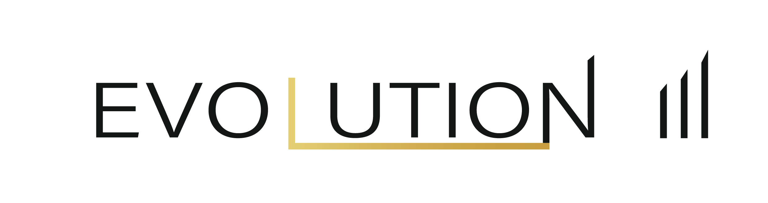 Evolution logo 3