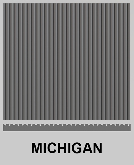 Michigan view
